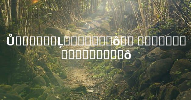 Ů������Ļ�������ô�� ������̫��̫�Ҵ���ʲô